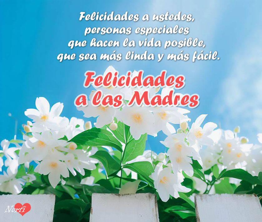Flores blancas con cielo azul con mensaje para felicitar las madres