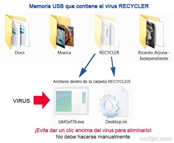 Archivos del virus Recycler en una memoria USB