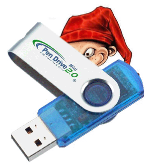 Limpiar las memorias flash y eliminar los archivos autorun.inf de los dispositivos USB