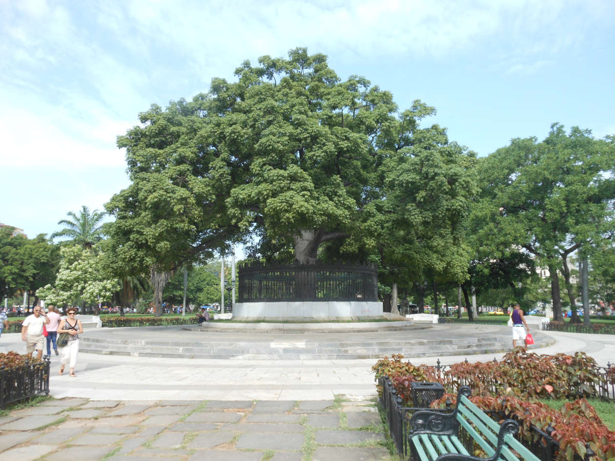 Árbol de la Fraternidad en el centro del Parque de la Fraternidad en la Habana