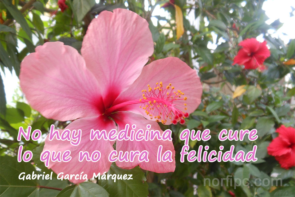 Gabriel García Márquez, frases de amor