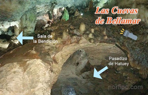 Las Cuevas de Bellamar o Gran Paleocaverna Bellamar