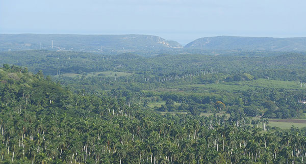 Foto del norte de la provincia Mayabeque tomada desde el mirador de Sierra Camarones