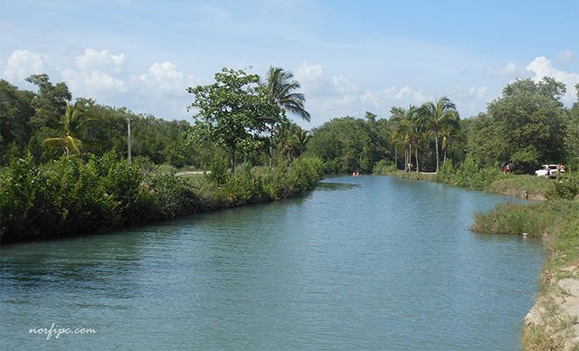 El Rio Mayabeque visto desde "la palmita"
