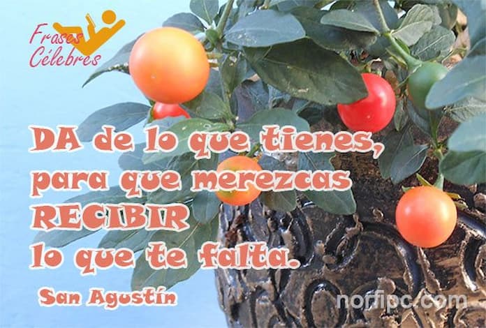 Frase de San Agustin sobre dar,y entregar y recibir en la vida