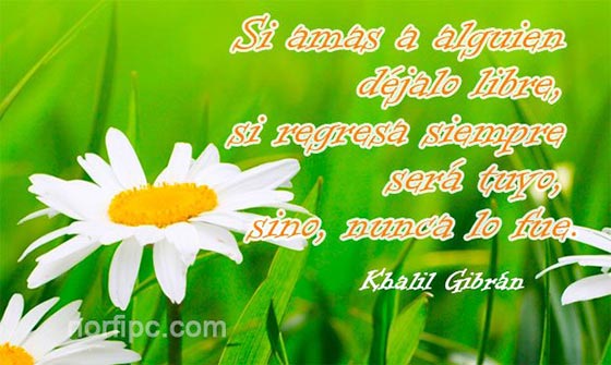 Frases de amor y pensamientos de Khalil Gibrán