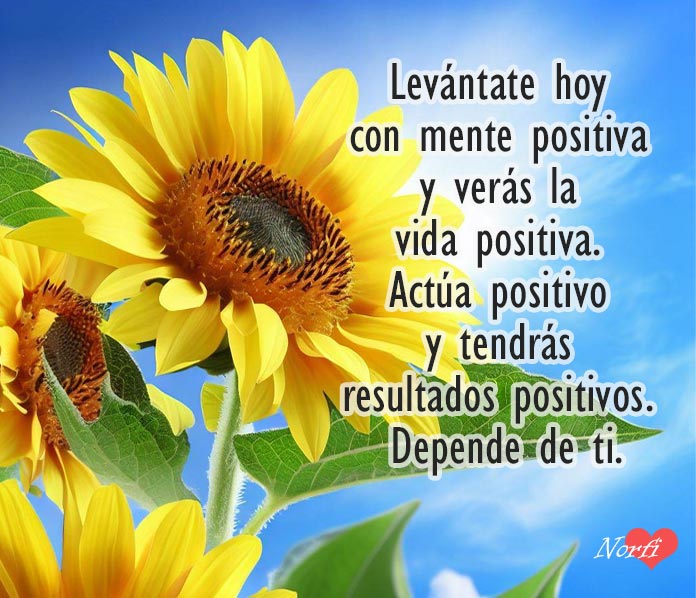 Levántate hoy con mente positiva y verás la vida positiva