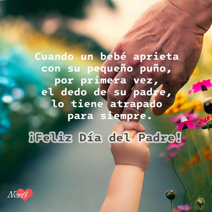  Frases y poemas para Papá el Día del Padre