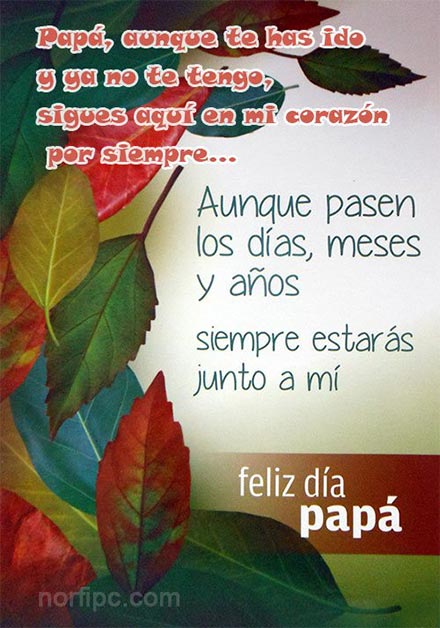 Gracias Papa Fotos Con Versos Para Dedicar El Dia Del Padre