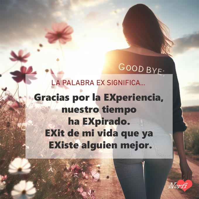 La palabra EX, significa: Gracias por la EXperiencia, nuestro tiempo ha EXpirado, ahora EXit de mi vida que ya EXiste alguien mejor.