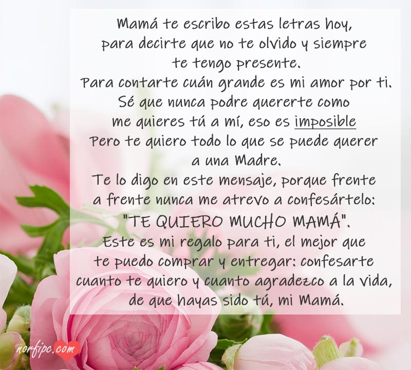 Carta de amor para mi Madre, poema para confesarle cuanto le quiero