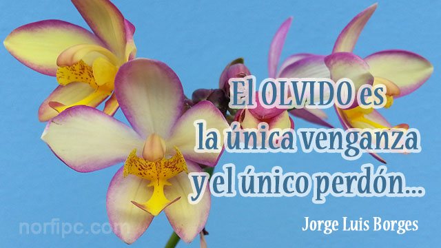 Pensamiento de Jorge Luis Borges sobre la venganza y el perdon
