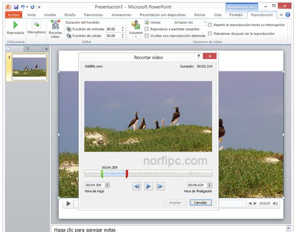 Como agregar insertar videos en presentaciones de PowerPoint