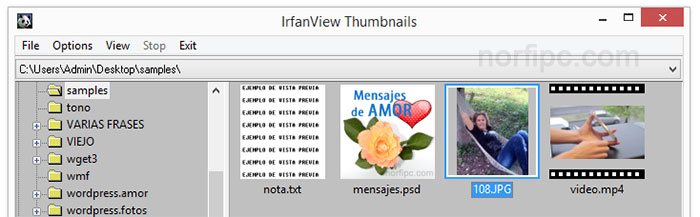Vista previa de distintos archivos que permite IrfanView