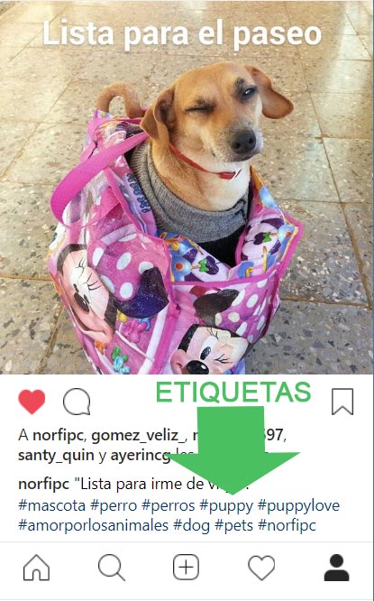 Las etiquetas o hashtags más populares en Instagram en español