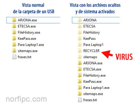 Carpeta de una memoria USB contaminada con el virus Recycler
