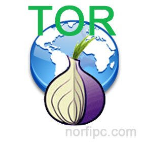 Como navegar en la red Tor y proteger nuestra identidad en internet
