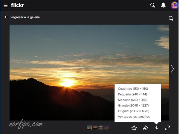 Descargar fotografías libres en alta resolución desde Flickr
